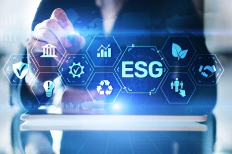 About Us - Profile Software